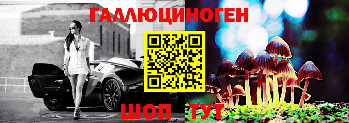 Галлюциногенные грибы MAGIC MUSHROOMS Элиста